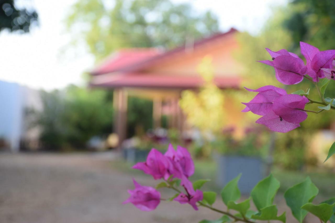 Gold Inn Dambulla Exterior photo
